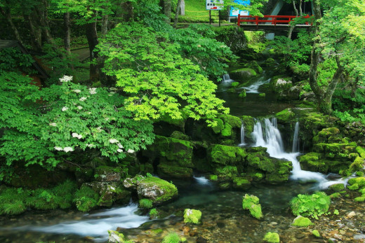 527897 (a): :1920x1280